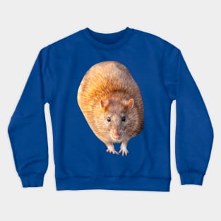 Mr Rat Crewneck Sweatshirt